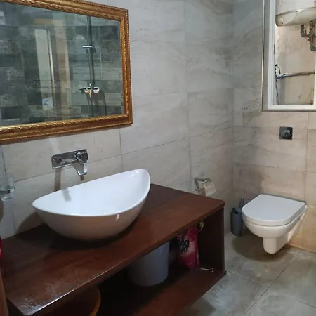 Enjoy Your Holidays With Us